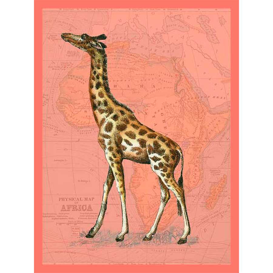 AFRICAN ANIMALS ON CORAL II by Studio W , Item#CG002809C, Matte Canvas, Art, Giclée on Canvas, Vertical, Small