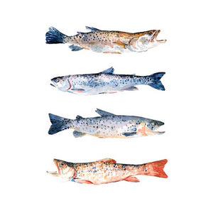 STACKED TROUT I by Emma Scarvey , Item#CG002906C, Matte Canvas, Art, Giclée on Canvas, Vertical, Small