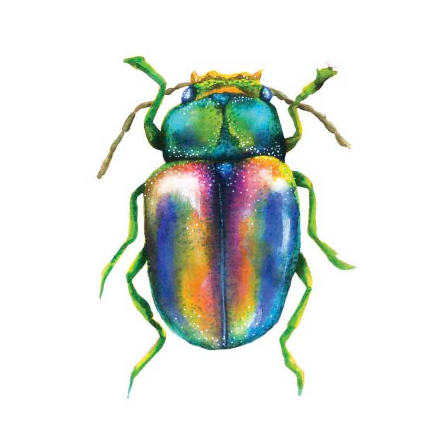 BUGGIN OUT I by Larisa Hernandez , Item#CG003228C, Matte Canvas, Art, Giclée on Canvas, Square, Small