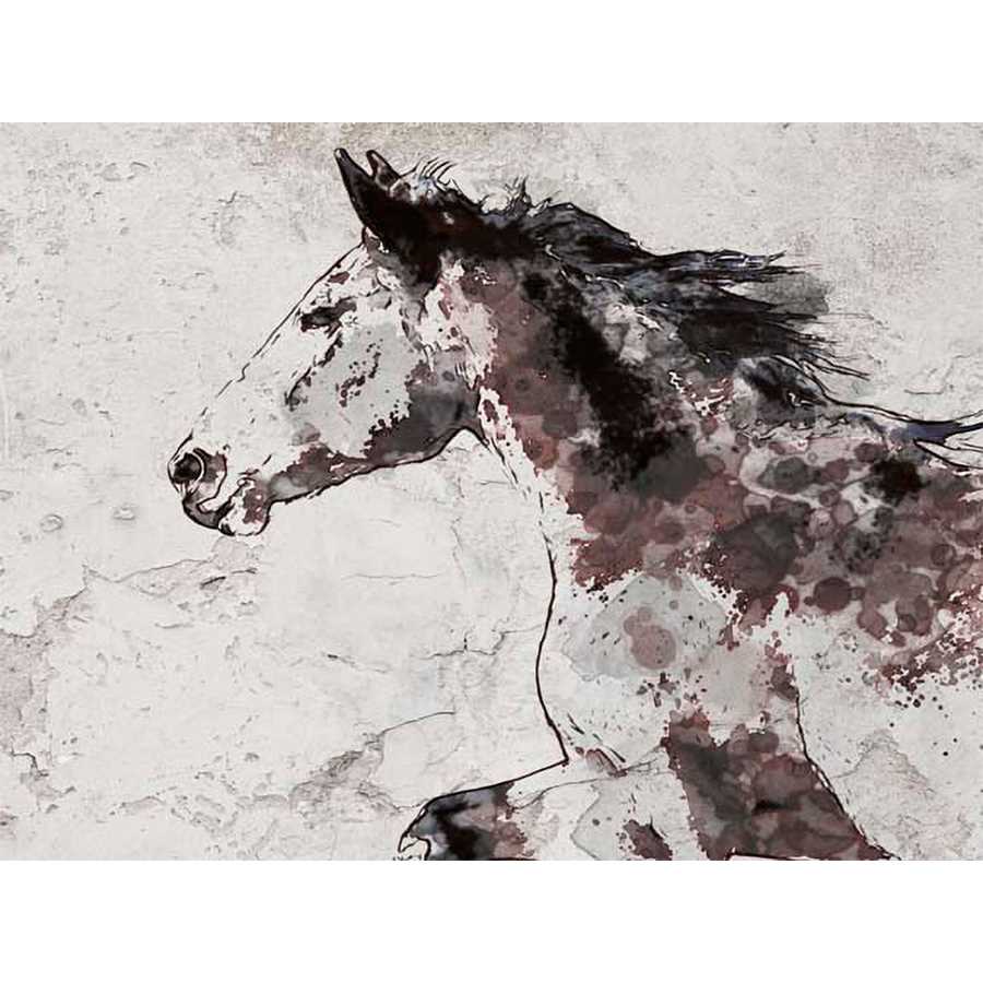 WINNER HORSE I by Irena Orlov , Item#CG003256C, Matte Canvas, Art, Giclée on Canvas, Horizontal, Small