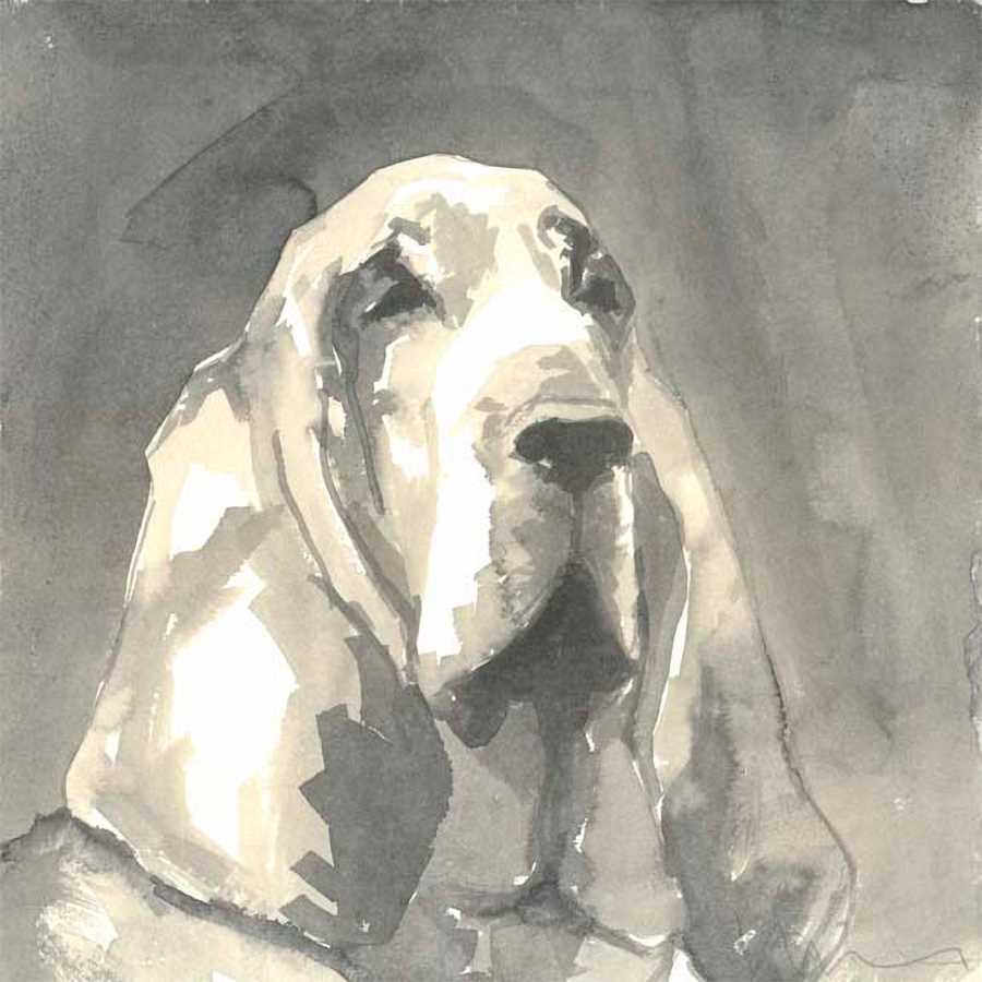 SEPIA MODERN DOG II by A Very Modern Dog , Item#CG004132C, Matte Canvas, Art, Giclée on Canvas, Square, Small