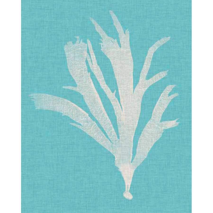 SEAWEED POP IV by Vision Studio , Item#CG004641P, Matte Paper, Art, Giclée on Paper, Vertical, Small