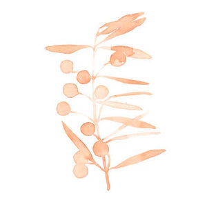 BLUSH OLIVE BRANCH II by Emma Scarvey , Item#CG004720C, Matte Canvas, Art, Giclée on Canvas, Vertical, Small