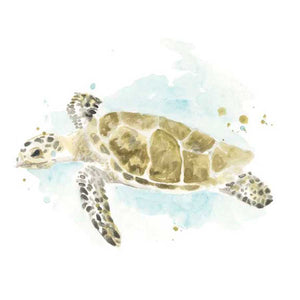 WATERCOLOR SEA TURTLE STUDY II by June Erica Vess , Item#CG004846C, Matte Canvas, Art, Giclée on Canvas, Horizontal, Small