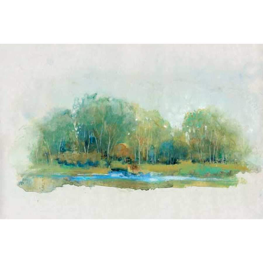 FOREST VIGNETTE II by Tim O'Toole , Item#CG005031C, Matte Canvas, Art, Giclée on Canvas, Horizontal, Medium