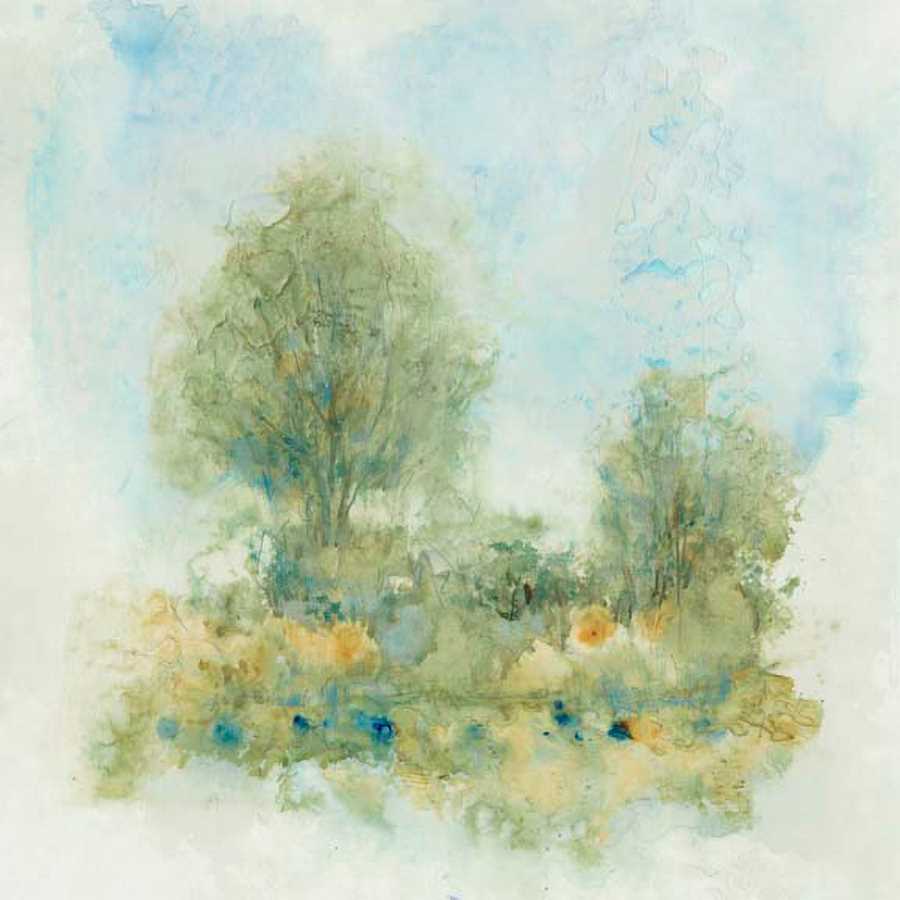 FLUID LANDSCAPE II by Tim O'Toole , Item#CG005033C, Matte Canvas, Art, Giclée on Canvas, Square, Small