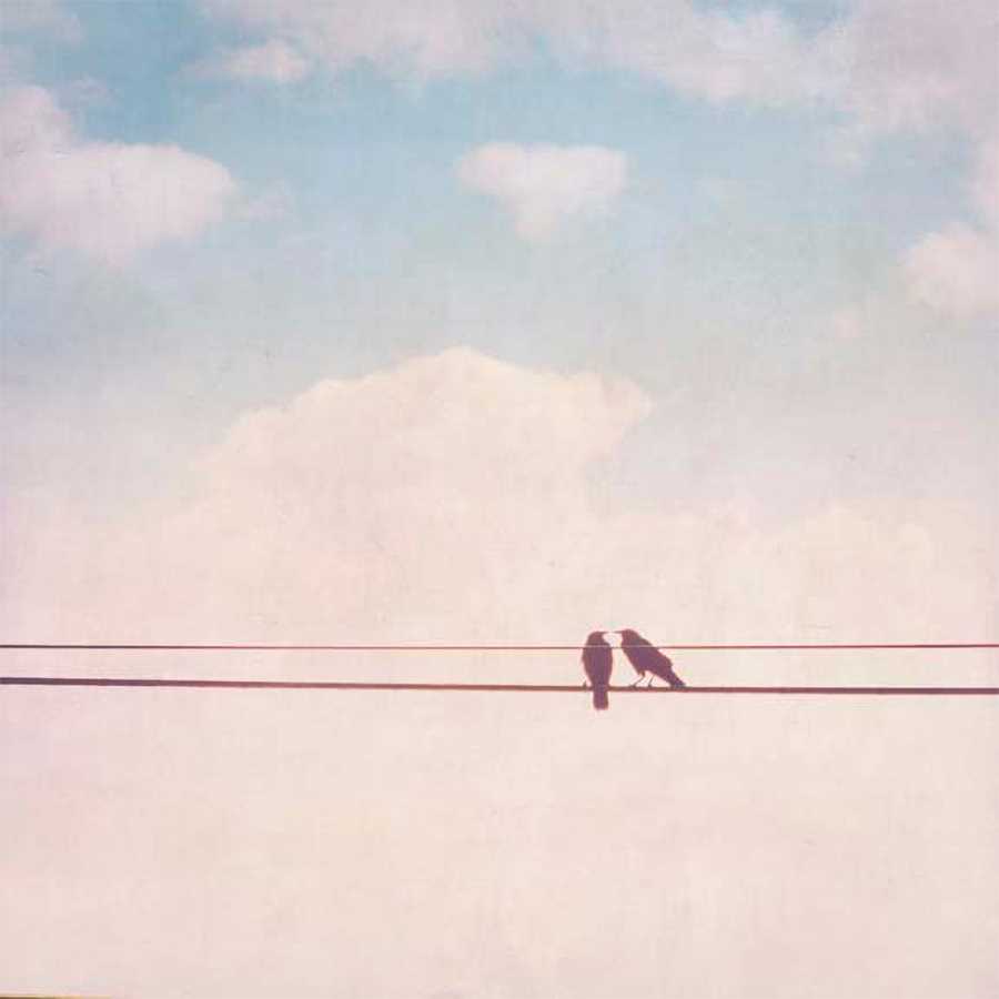 BIRDS ON WIRES II by Thomas Brown, Item#CG005057C, Matte Canvas, Art, Giclée on Canvas, Square, Small