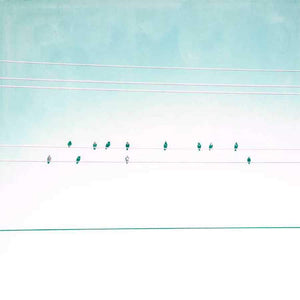 BIRDS ON WIRES IV by Thomas Brown, Item#CG005059P, Matte Paper, Art, Giclée on Paper, Square, Small