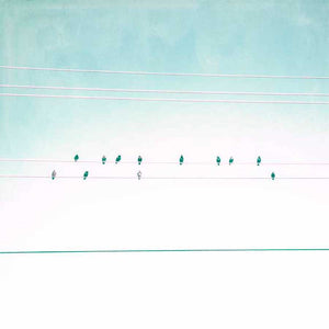 BIRDS ON WIRES IV by Thomas Brown, Item#CG005059C, Matte Canvas, Art, Giclée on Canvas, Square, Small