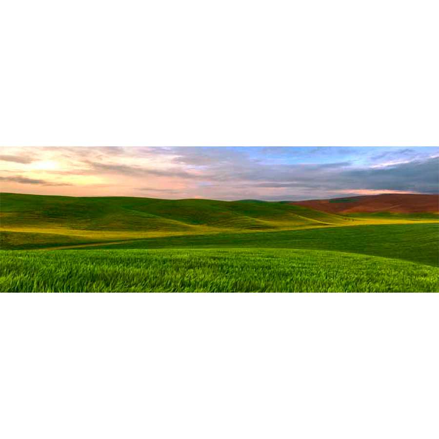 FARMSCAPE PANORAMA VI by James Mcloughlin, Item#CG005226C, Matte Canvas, Art, Giclée on Canvas, Horizontal, Small