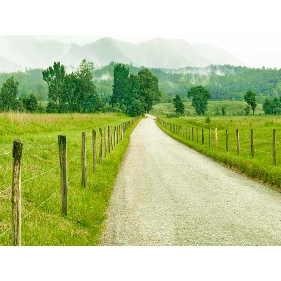 COUNTRY ROAD PHOTO I by James Mcloughlin, Item#CG005229C, Matte Canvas, Art, Giclée on Canvas, Horizontal, Small