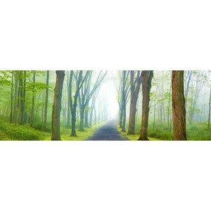 COUNTRY ROAD PANORAMA V by James Mcloughlin, Item#CG005241C, Matte Canvas, Art, Giclée on Canvas, Horizontal, Small