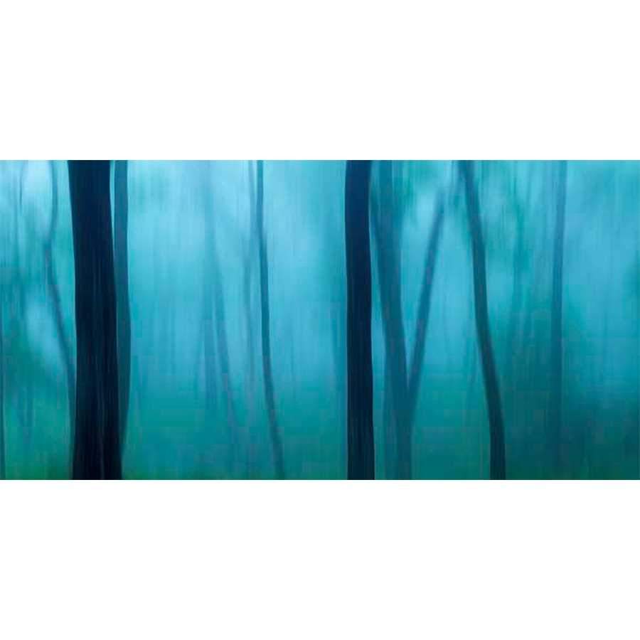 HARRIMAN WOODS II by James Mcloughlin, Item#CG005369C, Matte Canvas, Art, Giclée on Canvas, Horizontal, Medium
