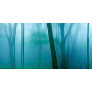 HARRIMAN WOODS IV by James Mcloughlin, Item#CG005371C, Matte Canvas, Art, Giclée on Canvas, Horizontal, Medium