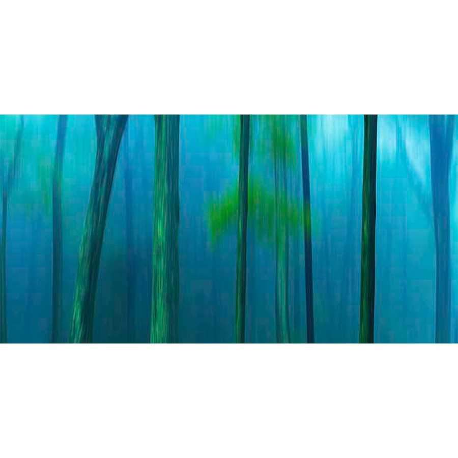 HARRIMAN WOODS V by James Mcloughlin, Item#CG005372C, Matte Canvas, Art, Giclée on Canvas, Horizontal, Medium