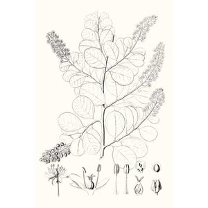 ILLUSTRATIVE LEAVES IV by Vision Studio, Item#CG005410C, Matte Canvas, Art, Giclée on Canvas, Vertical, Small