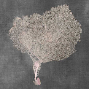 NATURAL SEA FAN VIII by Vision Studio, Item#CG005426C, Matte Canvas, Art, Giclée on Canvas, Square, Small