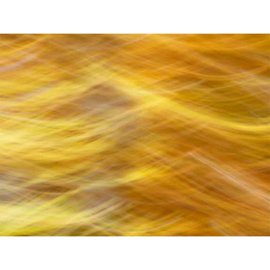 SOFT LANDSCAPE VII by James Mcloughlin, Item#CG005569C, Matte Canvas, Art, Giclée on Canvas, Horizontal, Small