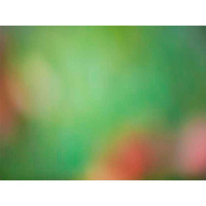 SOFT LANDSCAPE VIII by James Mcloughlin, Item#CG005570C, Matte Canvas, Art, Giclée on Canvas, Horizontal, Small
