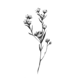 WILD THISTLE I by Emma Scarvey, Item#CG005582C, Matte Canvas, Art, Giclée on Canvas, Vertical, Small