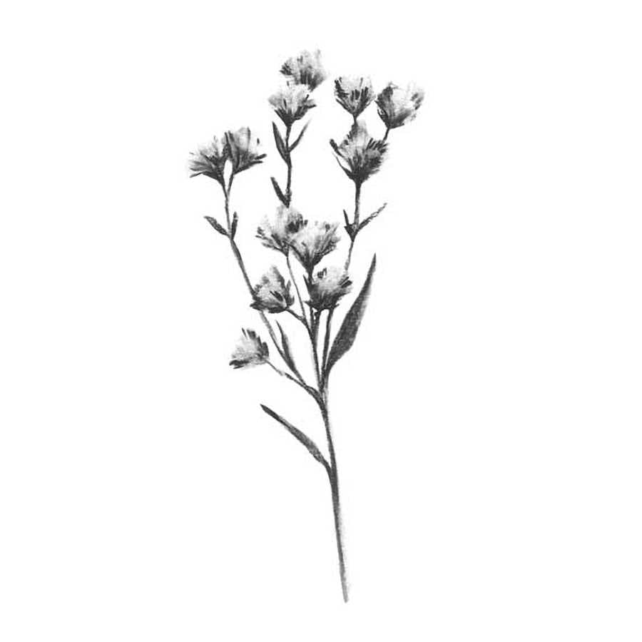 WILD THISTLE III by Emma Scarvey, Item#CG005584C, Matte Canvas, Art, Giclée on Canvas, Vertical, Small