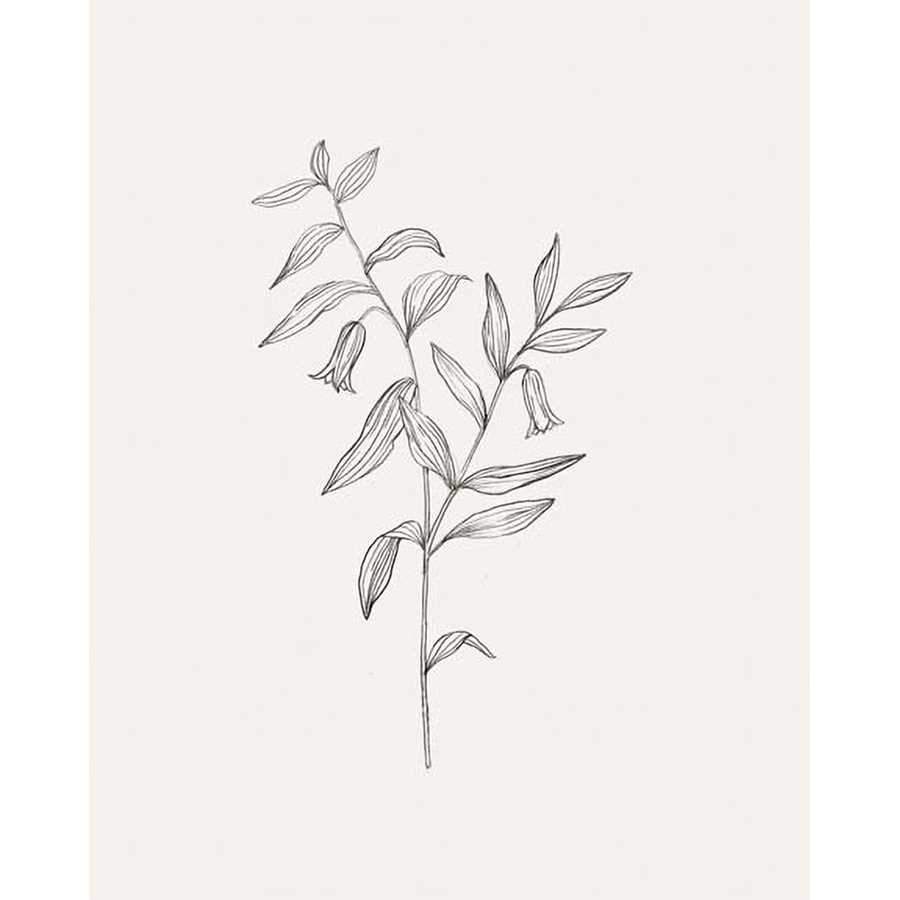 WILD FOLIAGE SKETCH IV by Victoria Borges, Item#CG005816P, Matte Paper, Art, Giclée on Paper, Vertical, Small