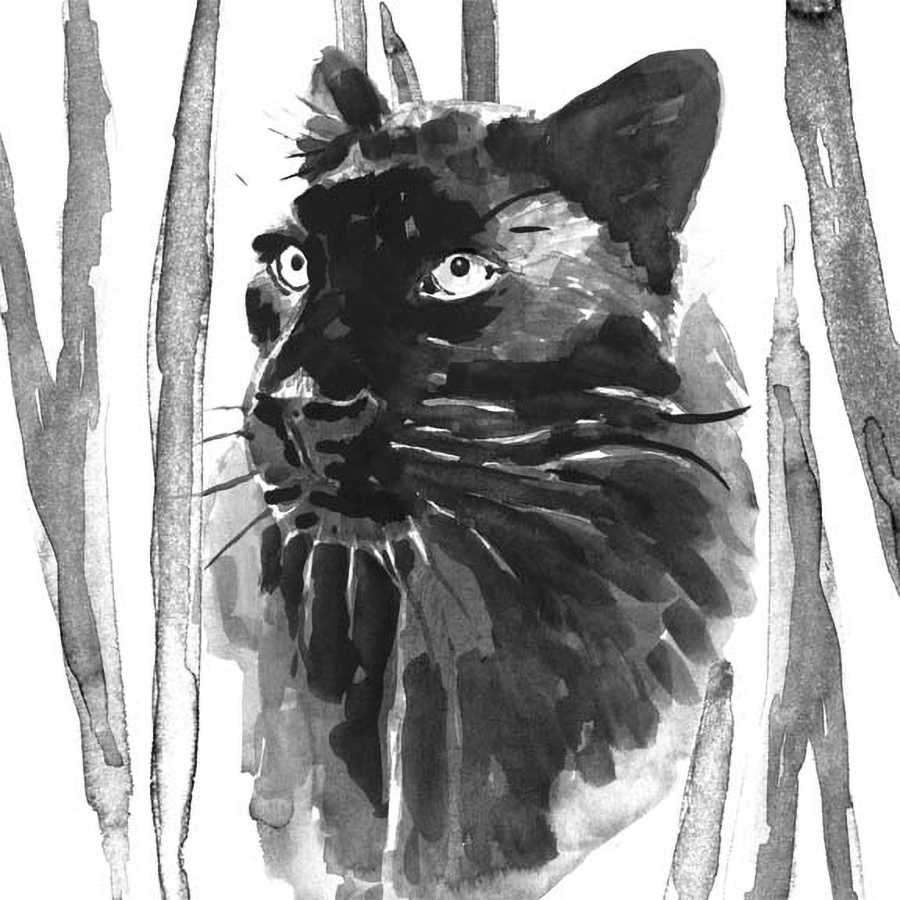 STILL CAT I by Annie Warren, Item#CG005859P, Matte Paper, Art, Giclée on Paper, Square, Small