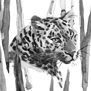 STILL CAT II by Annie Warren, Item#CG005860P, Matte Paper, Art, Giclée on Paper, Square, Small