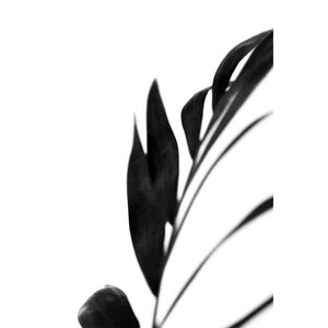 BLACK PALMS III by Renée W. Stramel, Item#CG005863P, Matte Paper, Art, Giclée on Paper, Vertical, Small