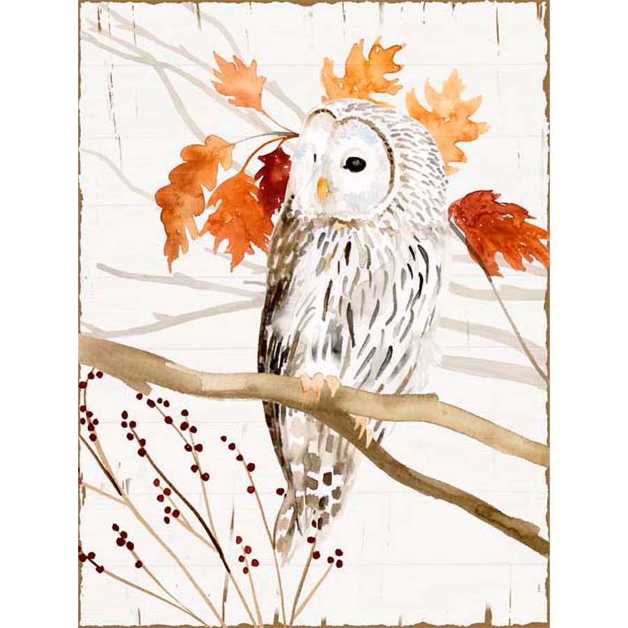 HARVEST OWL II by Victoria Borges, Item#CG005941P, Matte Paper, Art, Giclée on Paper, Vertical, Small