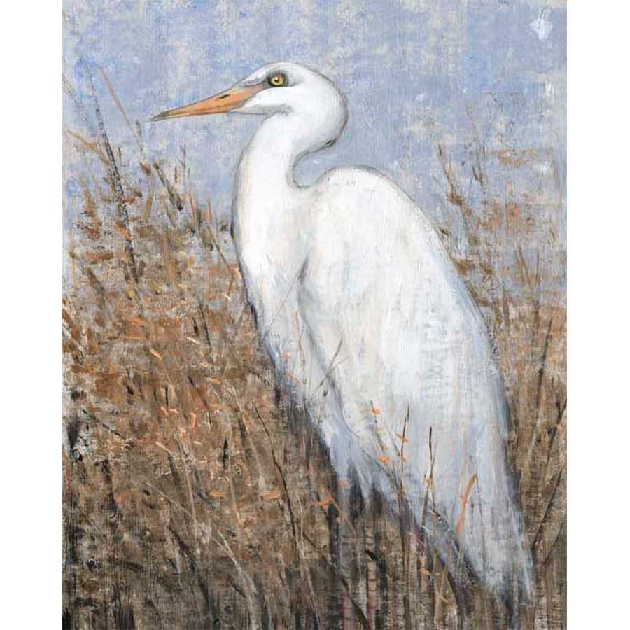 WHITE HERON II by Tim Otoole, Item#CG006408P, Matte Paper, Art, Giclée on Paper, Vertical, Small