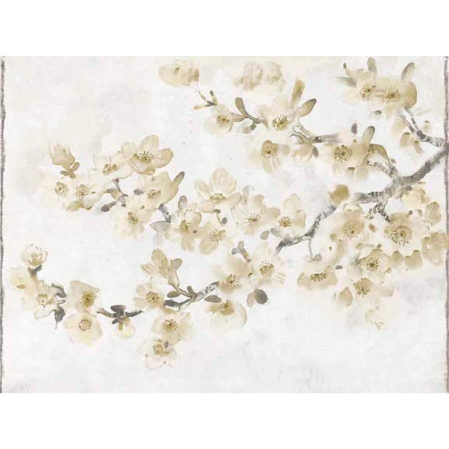 NEUTRAL CHERRY BLOSSOM COMPOSITION I by Tim O'Toole , Item#CG006969P, Matte Paper, Art, Giclée on Paper, Horizontal, Small