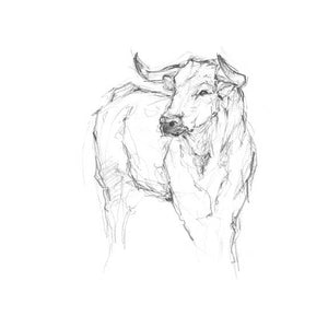 BULL STUDY I by Ethan Harper , Item#CG007698C, Matte Canvas, Art, Giclée on Canvas, Vertical, Small