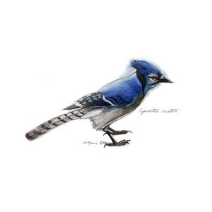 SONGBIRD STUDY III by Bruce Dean , Item#CG007760C, Matte Canvas, Art, Giclée on Canvas, Square, Small