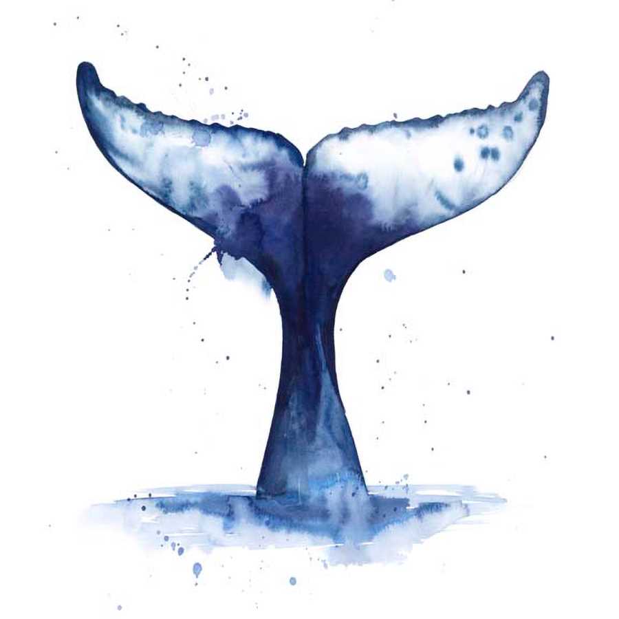 WHALE WAVE II by Grace Popp , Item#CG008138C, Matte Canvas, Art, Giclée on Canvas, Square, Small