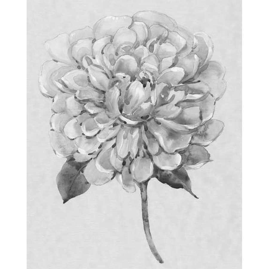 SILVERTONE FLORAL I by Tim Otoole, Item#CG011582C, Matte Canvas, Art, Giclée on Canvas, Vertical, Small