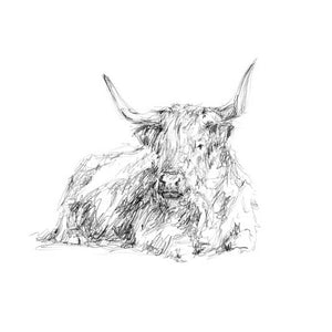 HIGHLAND CATTLE SKETCH I by Ethan Harper, Item#CG011940C, Matte Canvas, Art, Giclée on Canvas, Horizontal, Small