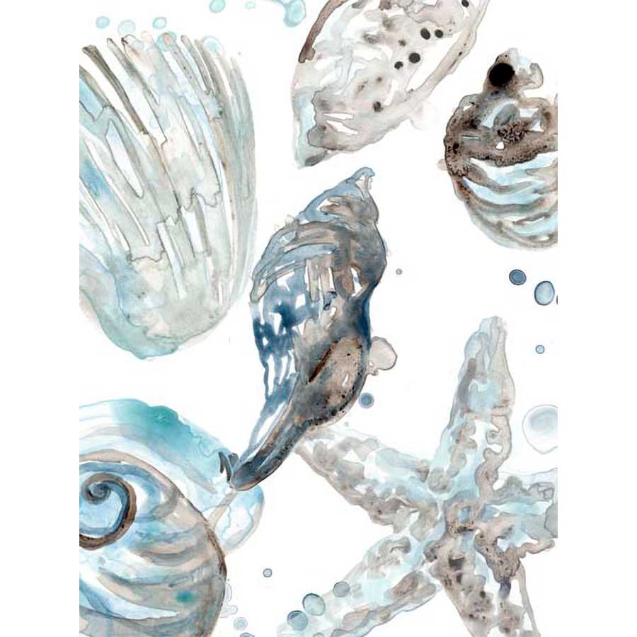 CERULEAN SEASHELLS III by June Erica Vess, Item#CG011970P, Matte Paper, Art, Giclée on Paper, Vertical, Small