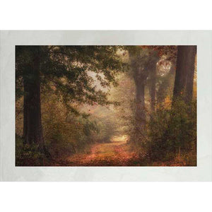 LUSTR AUTUMN'S WALK IN PEARL WHITE II by Danny Head, Item#CG012177P, Matte Paper, Art, Giclée on Paper, Horizontal, Small
