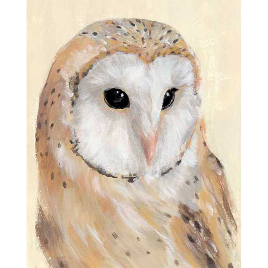 COMMON BARN OWL II by Annie Warren, Item#CG012234P, Matte Paper, Art, Giclée on Paper, Vertical, Small