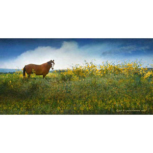 HORSE IN FLOWERS I by Chris Vest, Item#CG012239P, Matte Paper, Art, Giclée on Paper, Horizontal, Medium