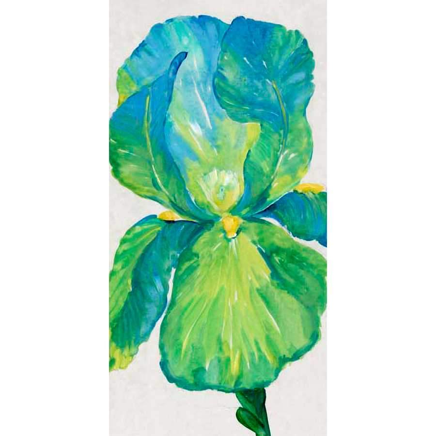 IRIS BLOOM IN GREEN I by Tim Otoole, Item#CG012312P, Matte Paper, Art, Giclée on Paper, Vertical, Small