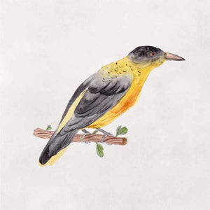 BIRD SKETCH VI by Melissa Wang, Item#CG012607P, Matte Paper, Art, Giclée on Paper, Square, Small