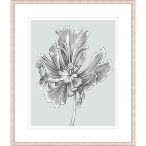 FG4012P03 Giclée on Matte Paper, under Glass, framed in Frame#6378 (Contemporary Antique Silver)
Top Mat: 1136-W Finished Size: W 17.50 in x H 21.50 in