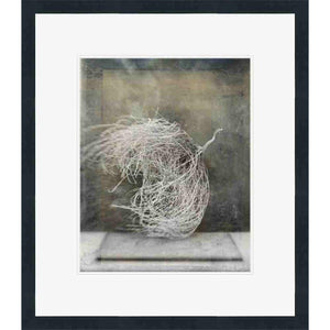 FG4032P01 Giclée on Matte Paper, under Glass, framed in Frame#8446 (Contemporary Black)
Top Mat: White
Bottom Mat: White Finished Size: W 26.25 in x H 30.25 in