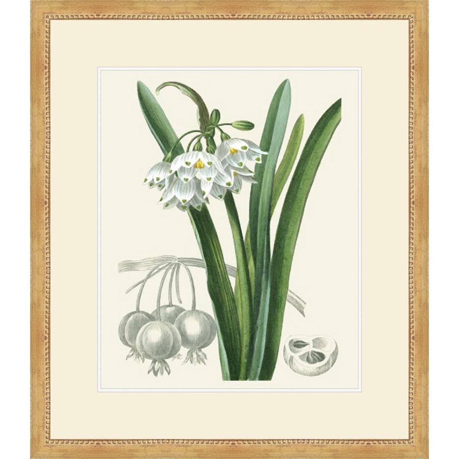FG4063P01 Giclée on Matte Paper, under Glass, framed in Frame#1560-75 (Traditional Slope Gold with Bead Lip)
Top Mat: Ivory
Bottom Mat: Off-White Finished Size: W 25.00 in x H 29.00 in