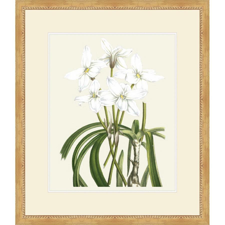 FG4063P03 Giclée on Matte Paper, under Glass, framed in Frame#1560-75 (Traditional Slope Gold with Bead Lip)
Top Mat: Ivory
Bottom Mat: Off-White Finished Size: W 25.00 in x H 29.00 in