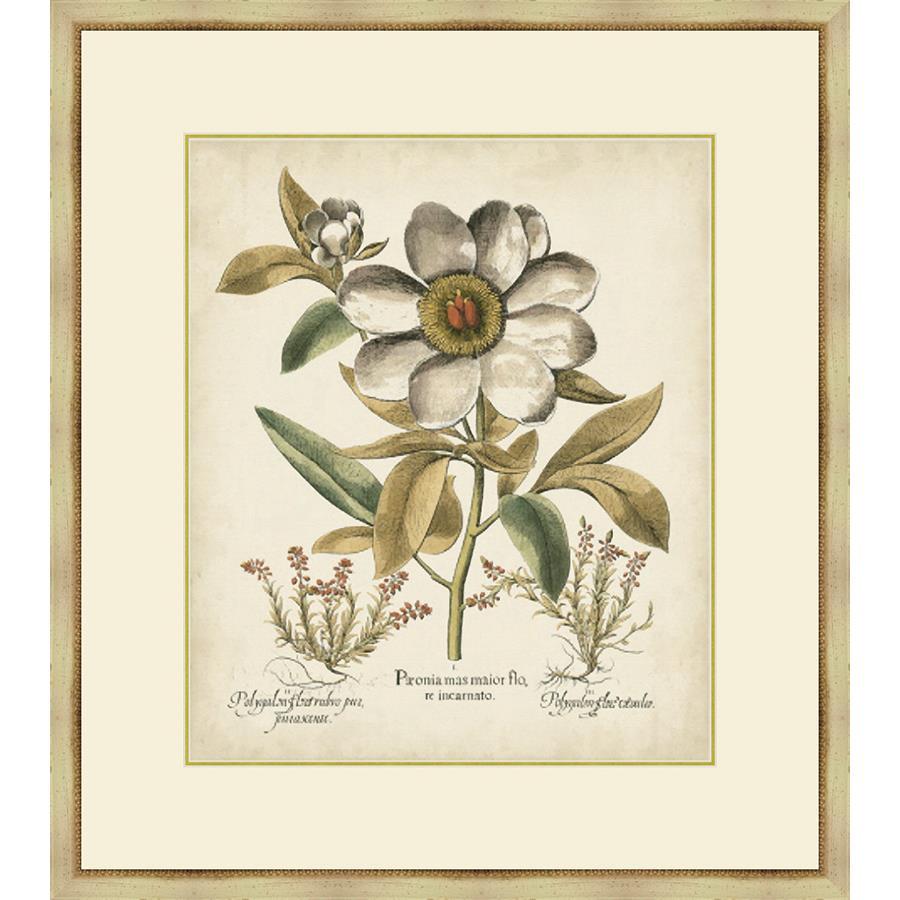 FG4066P01 Giclée on Matte Paper, under Glass, framed in Frame#1560-55 (Traditional Antique Ivory & Gold)
Top Mat: Ivory
Bottom Mat: Felt Gray Finished Size: W 31.00 in x H 35.00 in