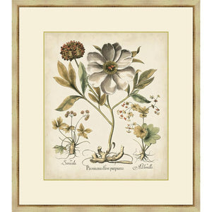 FG4066P02 Giclée on Matte Paper, under Glass, framed in Frame#1560-55 (Traditional Antique Ivory & Gold)
Top Mat: Ivory
Bottom Mat: Felt Gray Finished Size: W 31.00 in x H 35.00 in