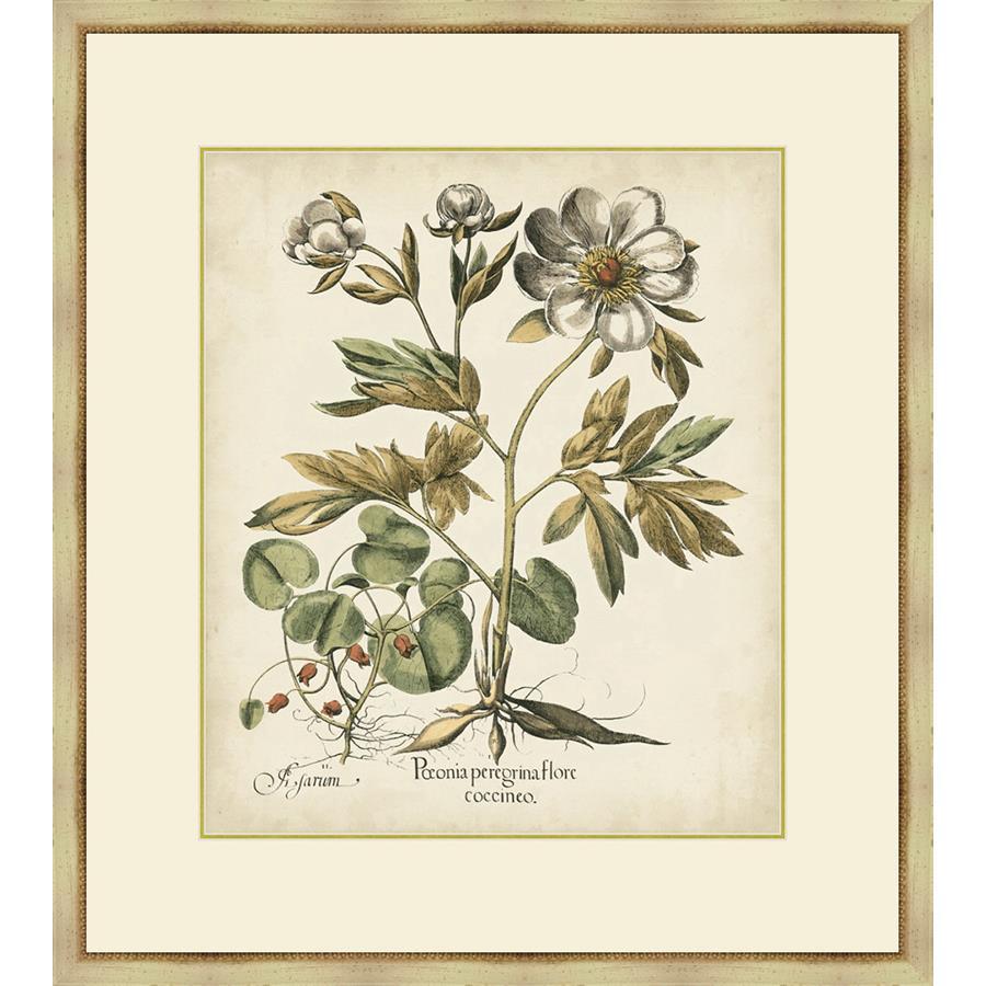 FG4066P03 Giclée on Matte Paper, under Glass, framed in Frame#1560-55 (Traditional Antique Ivory & Gold)
Top Mat: Ivory
Bottom Mat: Felt Gray Finished Size: W 31.00 in x H 35.00 in